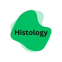 بافت شناسی - Histology بافت شناسی - Histology